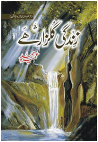 Image of Zindagi Gulzar Hai/زندگی گلزار ہے
