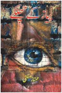 Image of Pyaz Ke Chilkay / پیاز کے چھلکے